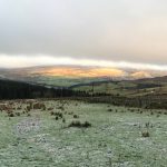 Frosty morning with Fells