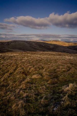 Northumberland moorland